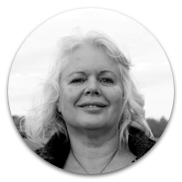 mariejoserietdijk llc
